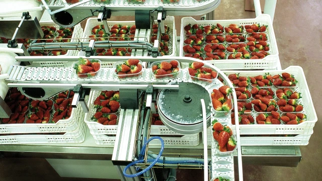 Automation Technology Servicing 