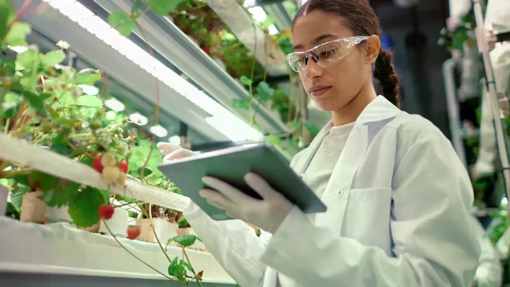 Controlled Environment Agriculture (CEA)