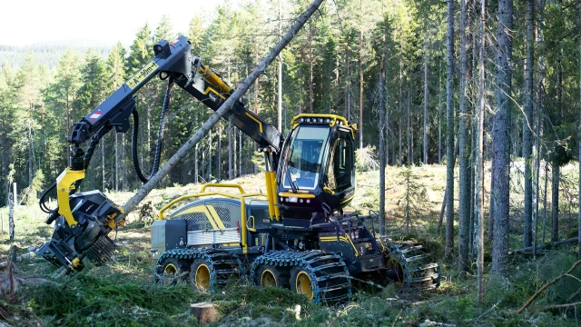 Metsäkone työssään