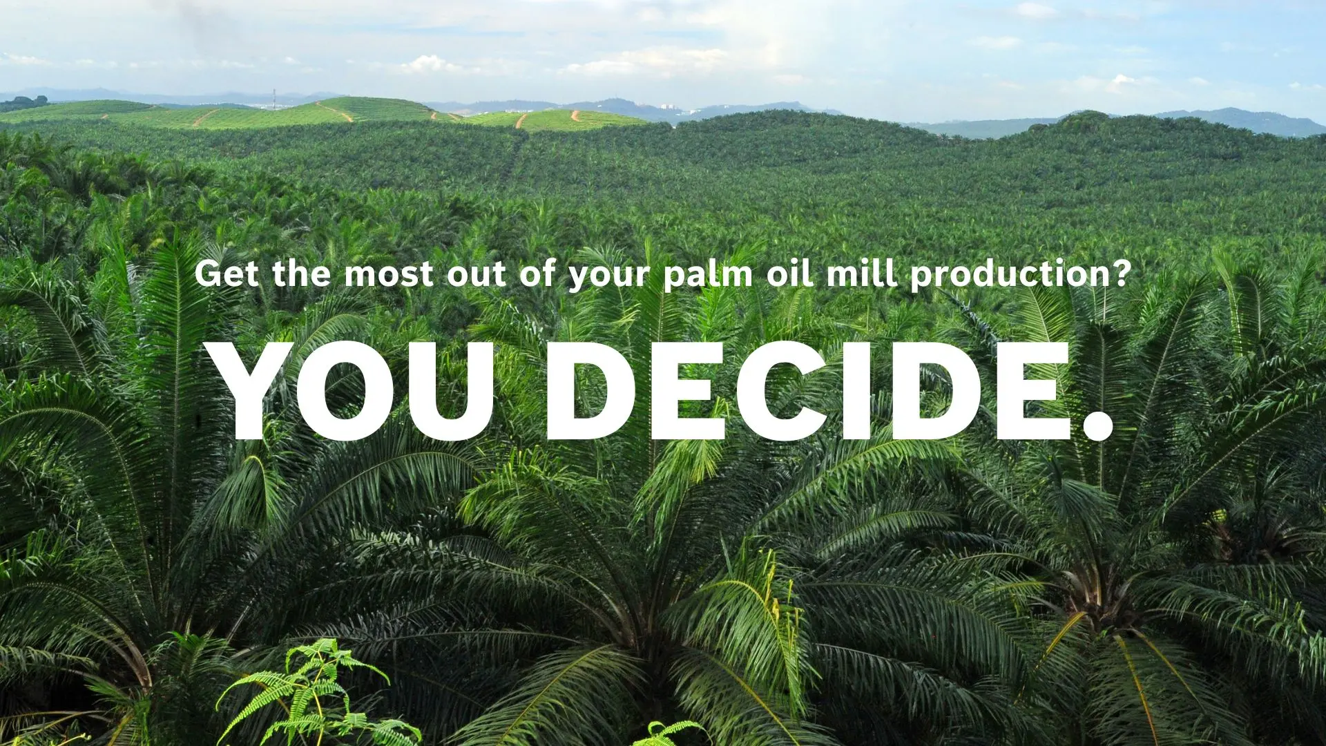 Transforming palm oil industry