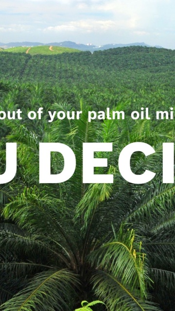 Transforming palm oil industry