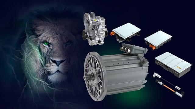 Portfolio eLion