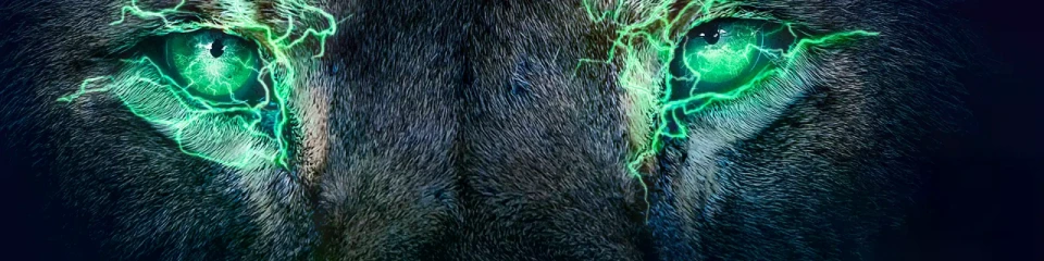 webinar eLion UPDATE