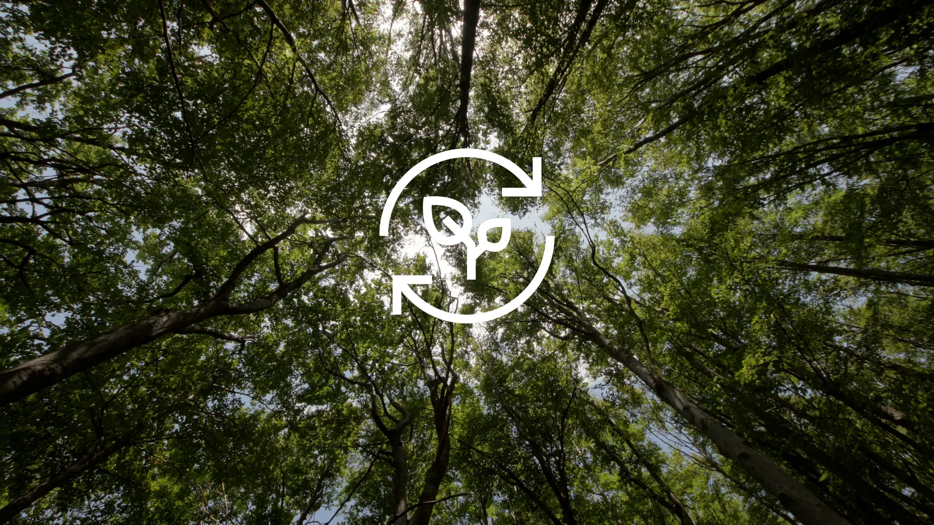 återvinningssymbol i en skog