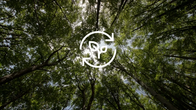 återvinningssymbol i en skog