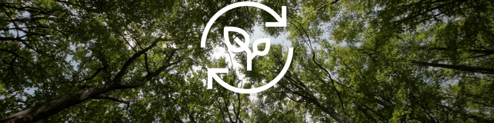 återvinningssymbol i en skog