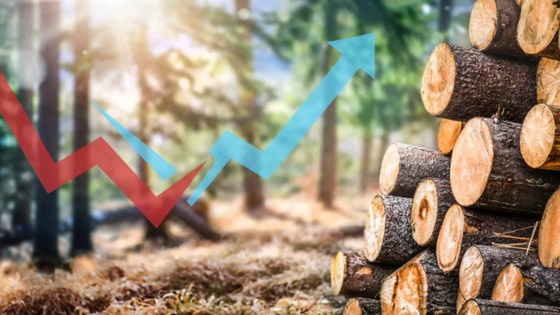 Skog och nedsågade träd med en röd pil som blir blå
