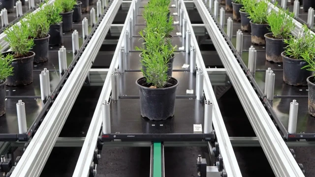 Energy-efficient plant conveyor system