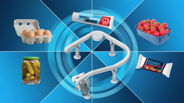 Adapting to Constant Change: The Role of Flexible Packaging Conveyors