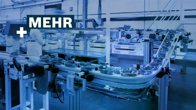 Kettenfördersystem VarioFlow plus – Konsumgüter aller Art: sicher transportieren, verteilen, zusammenführen.
