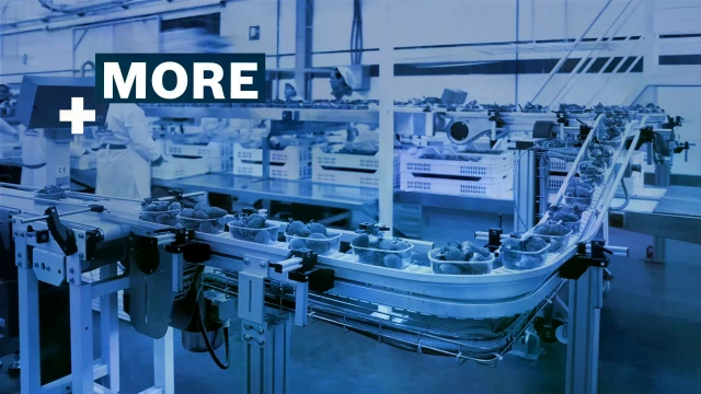 Conveyor system VarioFlow plus: consumer goods of all types are transported, distributed and brought together safely.