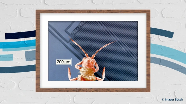 MEMS with insect to show size