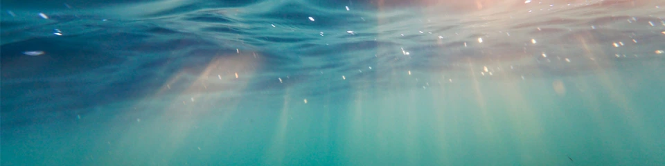 Sea from beneath surface