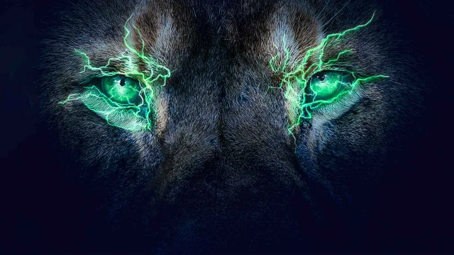 eLION