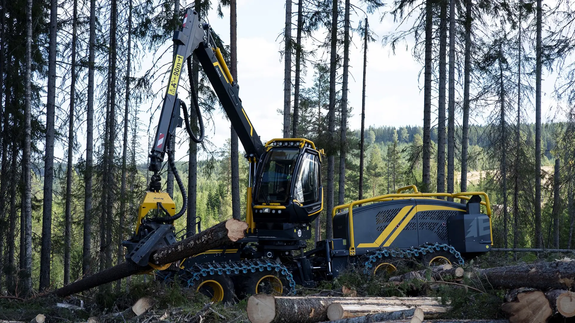 Harvester 688G von Eco Log im Wald bei der Bearbeitung von Baumstämmen