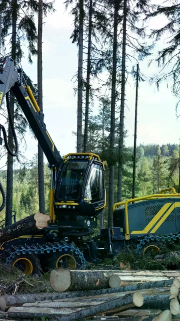 Harvester 688G von Eco Log im Wald bei der Bearbeitung von Baumstämmen