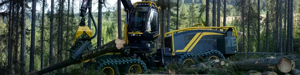 Harvester 688G von Eco Log im Wald bei der Bearbeitung von Baumstämmen