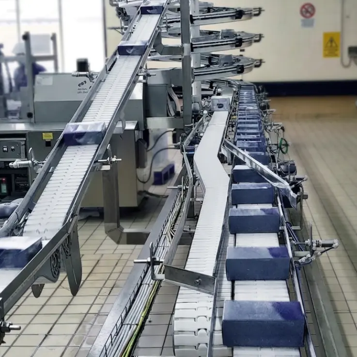VarioFlow plus chain conveyor system with parallel conveyor lines at Froneri.