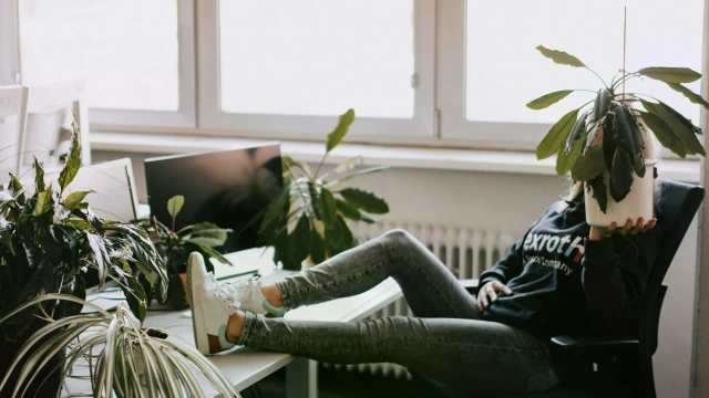 A young woman in a rexroth sweater is sitting at a desk with her shoes on the desk holding a plant infront of her face. On the office desk are several other plants.