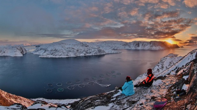 Fjord tengeri halgazdasággal