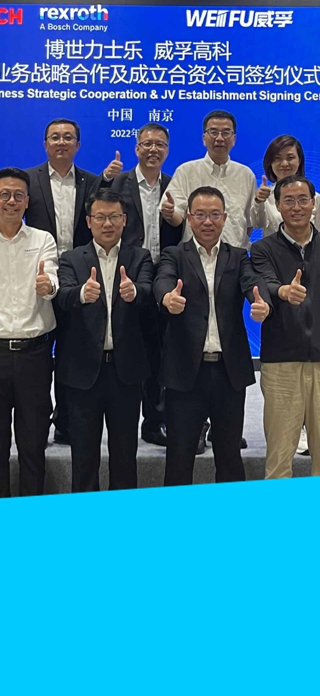 Weifu high technology group