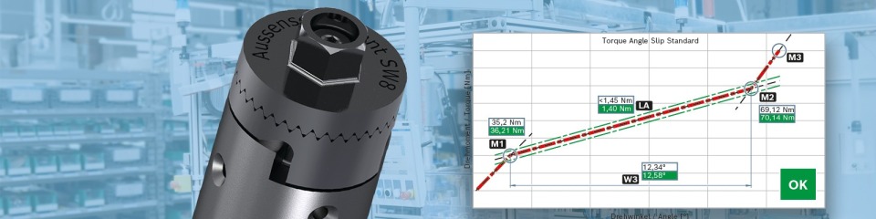 TASS testing system