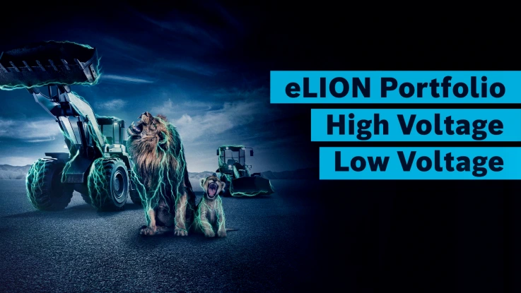 eLION Portfolio