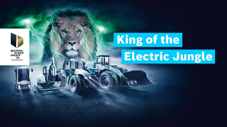 lion visual