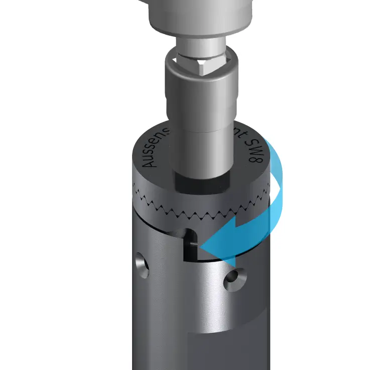 Rendering TASS functional principle